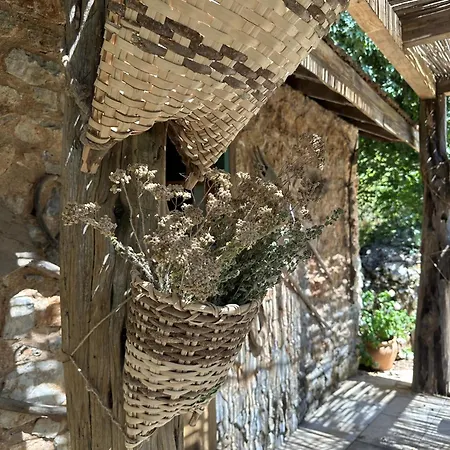 Pure Life Goecek Gokceovacik