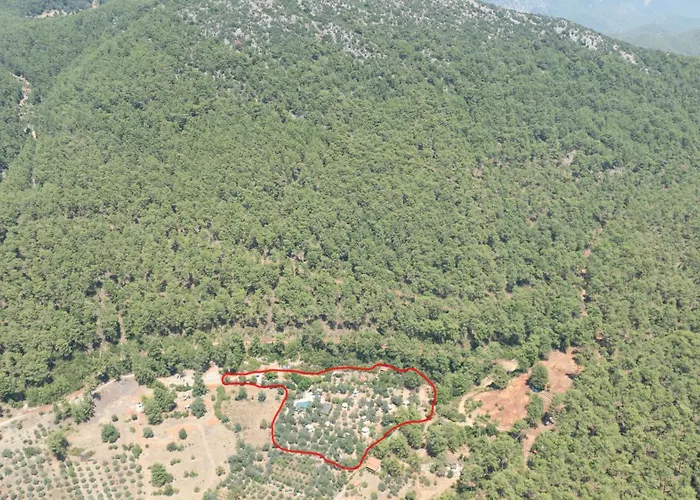 Pure Life Goecek Gokceovacik