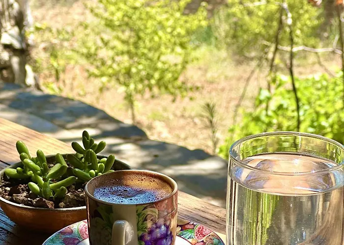 Hotel Pure Life Goecek