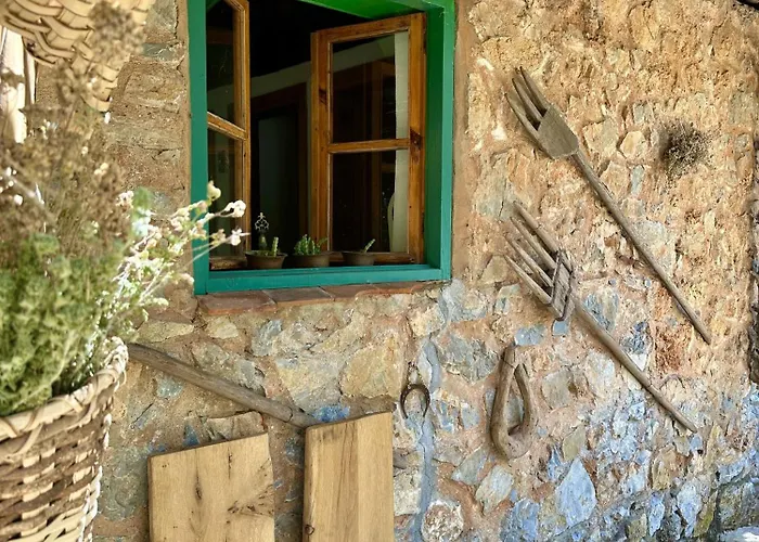 Hotel Pure Life Goecek Gokceovacik