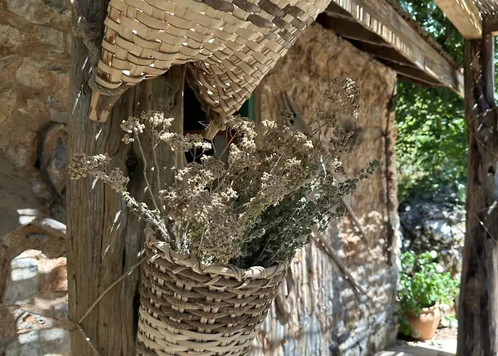 Pure Life Goecek Gokceovacik